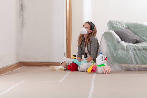 Reliable Basement Mold Remediation contractor in Farmington, PA by WQB Mold Removal